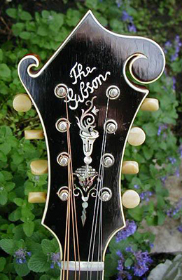 1922 Gibson F4 peghead