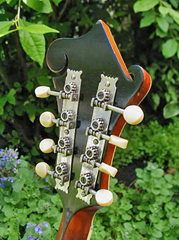 1922 Gibson F4 peghead tuners