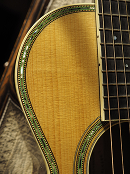 Parlor Guitar detail